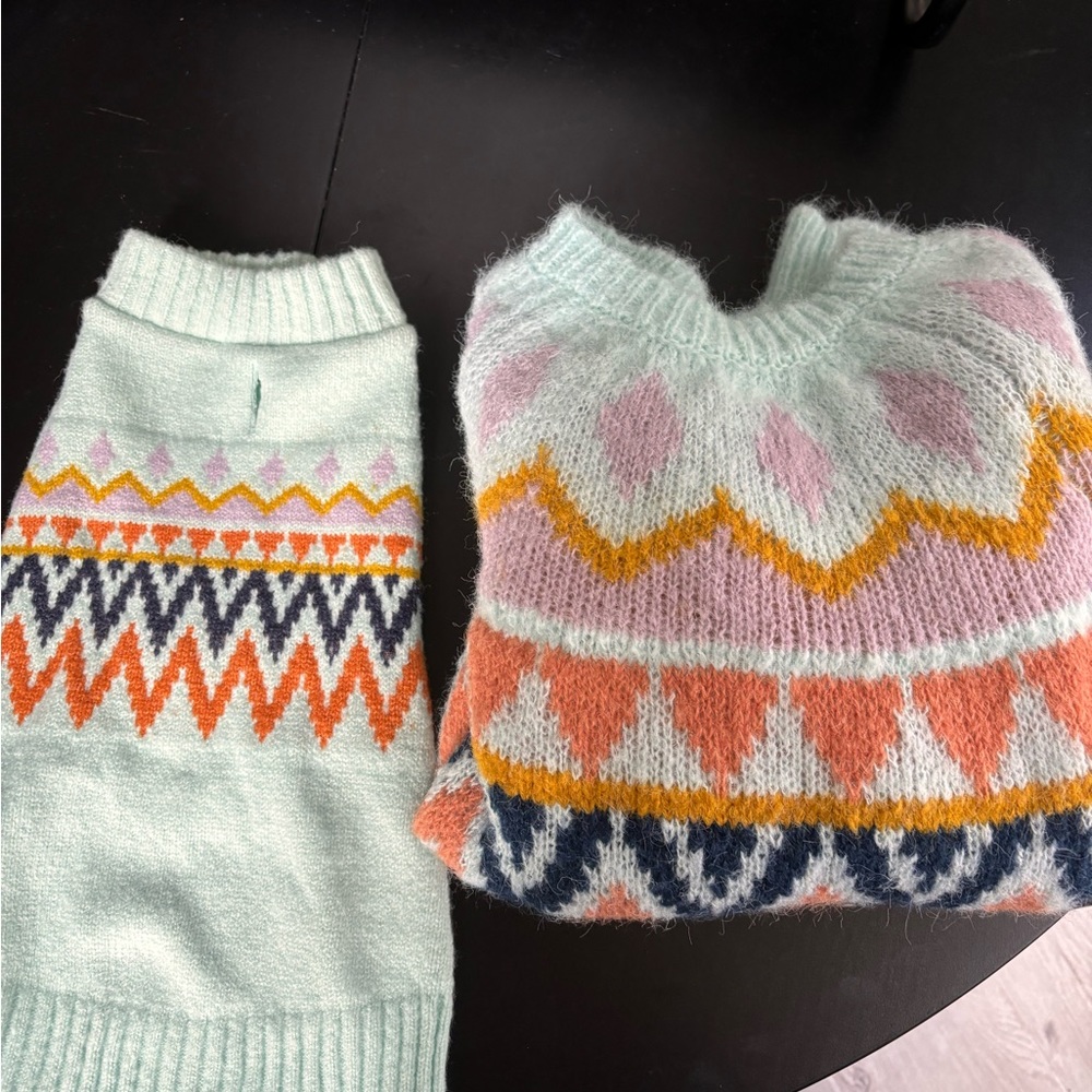 Cat and Jack Target Matching Blue Fair Isle Sweater with dog sweater